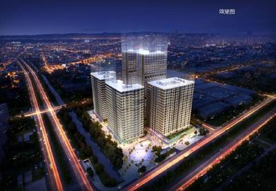 最懂九龙湖的喵星人 家住东大资产