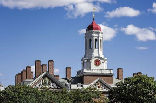 哈佛大学错投10亿美元投资自然资源，东大资产折射名校投资困局