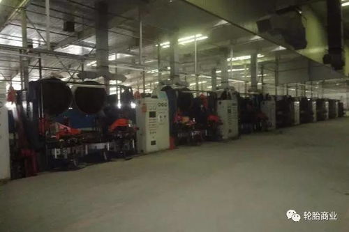 产能千万、产值数十亿的轮胎厂宣告破产，东大资产启动整体拍卖