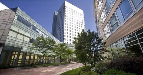 东北大学——一所独一无二的大学